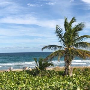 Meet your Posher, Blake